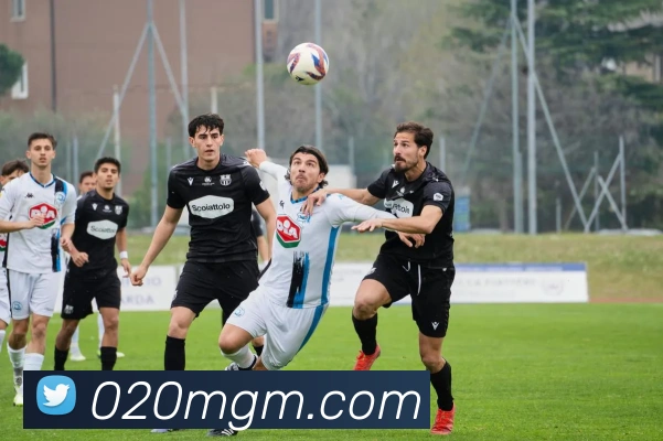 App功能展示图